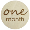 Ali+Oli Baby Monthly Milestone Photo Prop Cards - Flying Ryno
