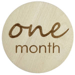 Ali+Oli Baby Monthly Milestone Photo Prop Cards - Flying Ryno