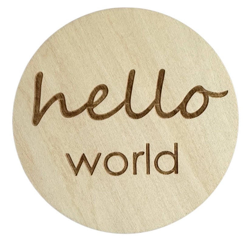 Ali+Oli Baby Monthly Milestone Photo Prop Cards - Flying Ryno