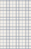 Angel Dear Blue Plaid - L/s Western Pearl Snap Shirt With Howdy Embroidery On Back - Flying Ryno