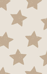 Angel Dear French Terry - Stars - Raglan Sweatshirt + Jogger Set - Flying Ryno