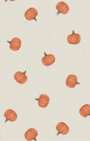 Angel Dear Little Pumpkins - 2 Way Zipper Footie - Flying Ryno