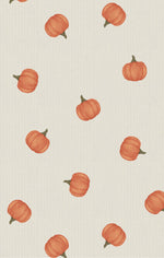 Angel Dear Little Pumpkins - 2 Way Zipper Footie - Flying Ryno