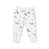 Angel Dear Soft Dinos - French Terry - Green - Raglan Sweatshirt + Jogger Set - Flying Ryno