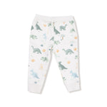 Angel Dear Soft Dinos - French Terry - Green - Raglan Sweatshirt + Jogger Set - Flying Ryno