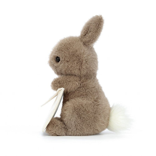 Jellycat Messenger Bunny - Flying Ryno