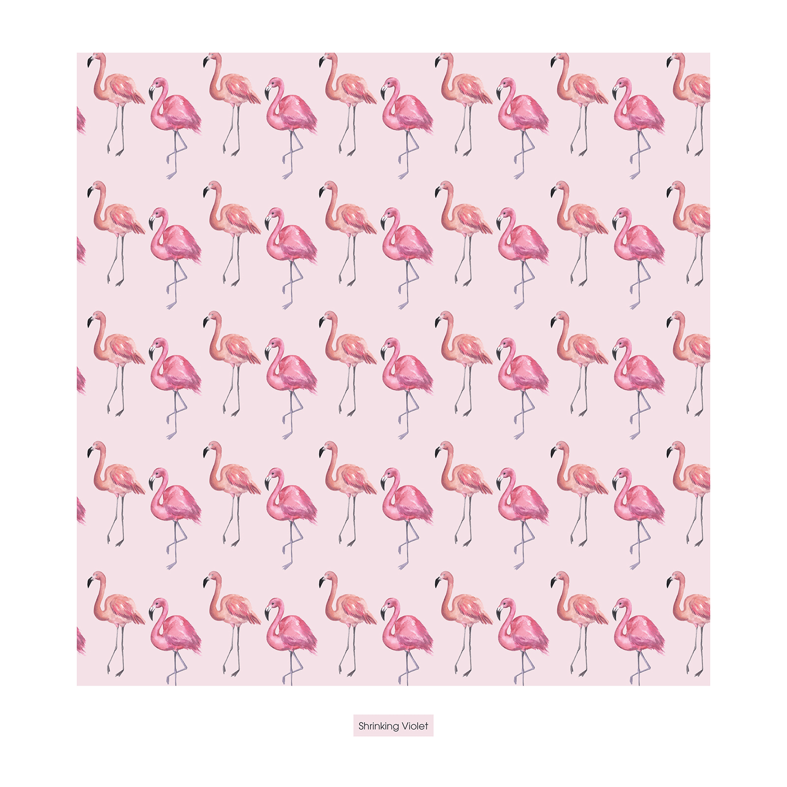 Kickee Pants Print Convertible Coverall, Shrinking Violet Flamingo - Flying Ryno