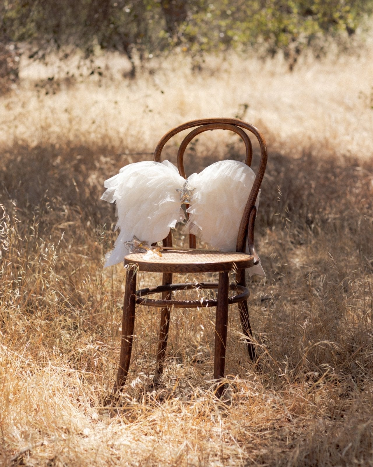 Noralee Angel Wings, Ivory Shimmer - Flying Ryno