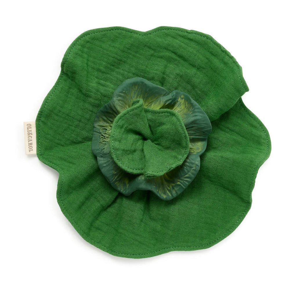 Oli and Carol Kendall the Kale Mini Doudou Teether - Flying Ryno