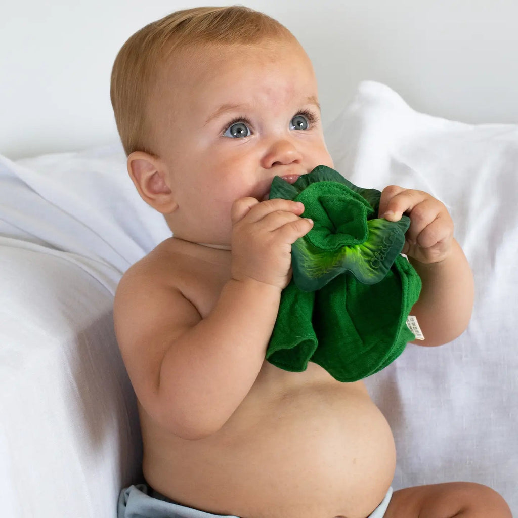 Oli and Carol Kendall the Kale Mini Doudou Teether - Flying Ryno
