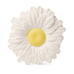 Oli and Carol Margarita the Daisy - Flying Ryno
