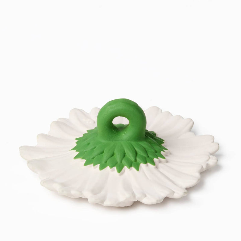 Oli and Carol Margarita the Daisy - Flying Ryno