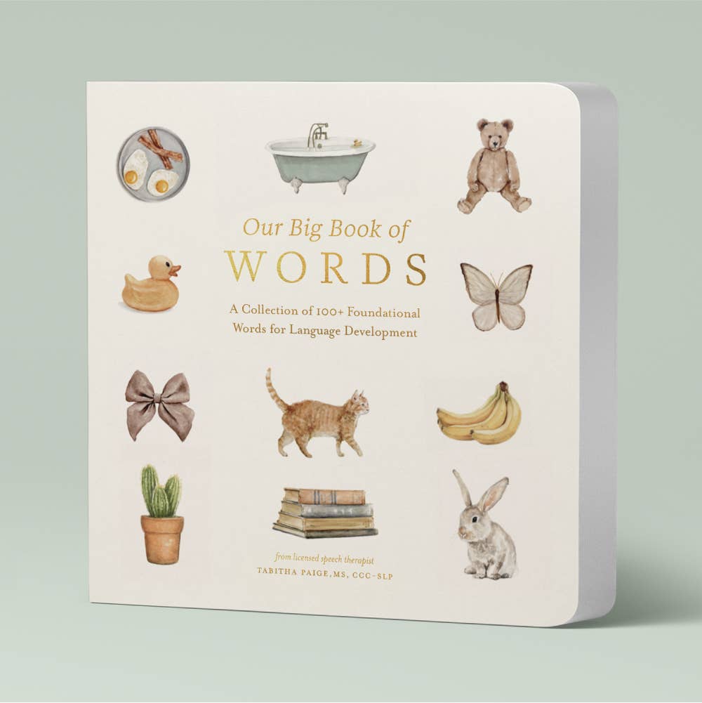 Our Big Book Of First Words - Flying Ryno