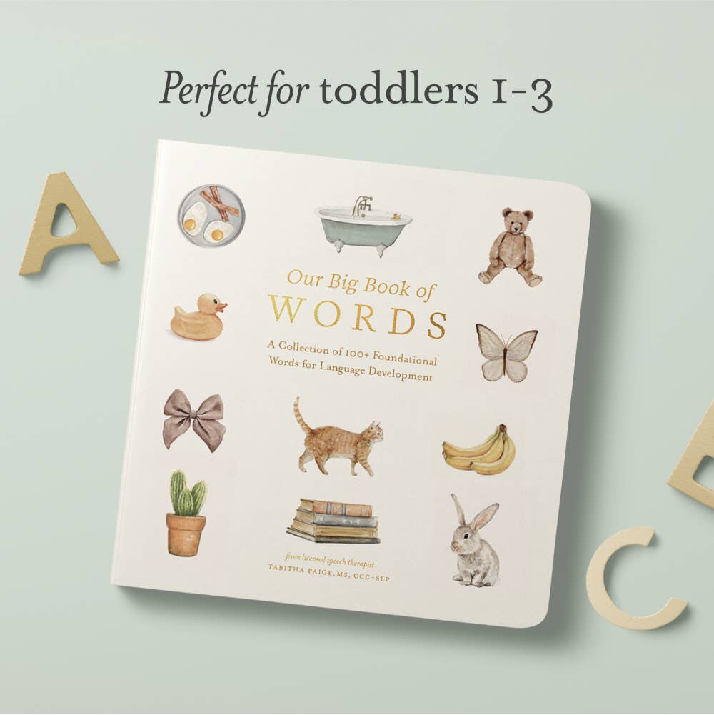 Our Big Book Of First Words - Flying Ryno