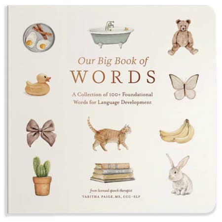 Our Big Book Of First Words - Flying Ryno