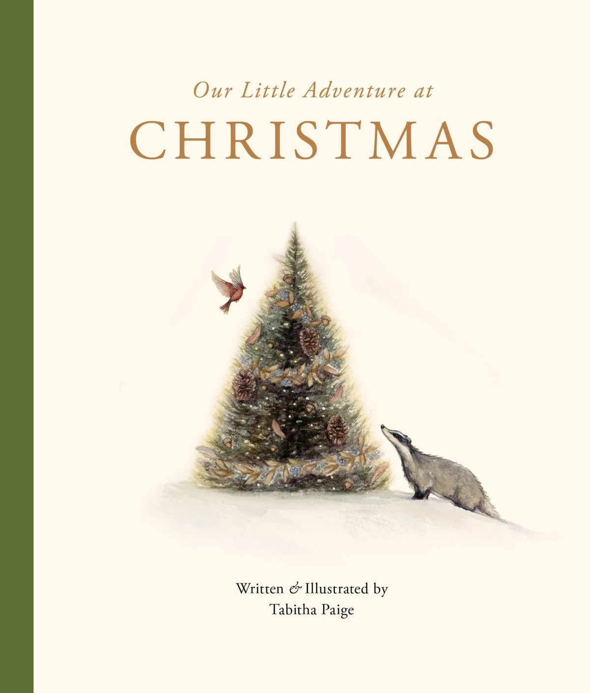 Our Little Adventure at Christmas by Tabitha Paige - Flying Ryno