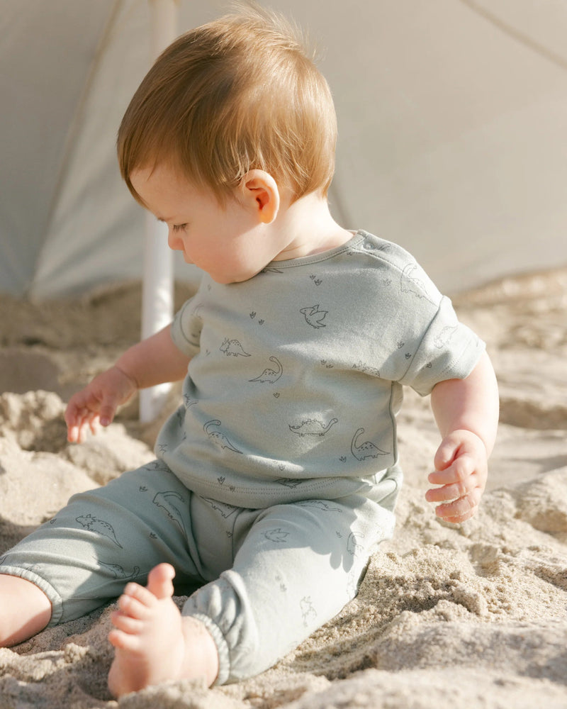 Quincy Mae Jersey Tee and Pant Set, Dino - Flying Ryno