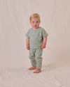 Quincy Mae Jersey Tee and Pant Set, Dino - Flying Ryno