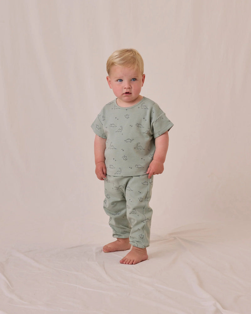 Quincy Mae Jersey Tee and Pant Set, Dino - Flying Ryno