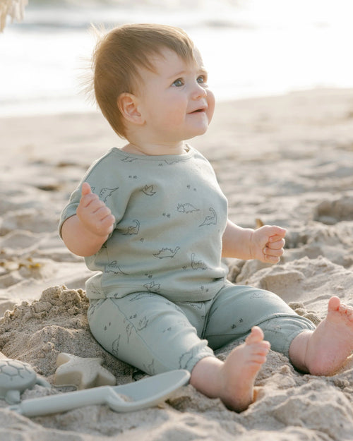 Quincy Mae Jersey Tee and Pant Set, Dino - Flying Ryno