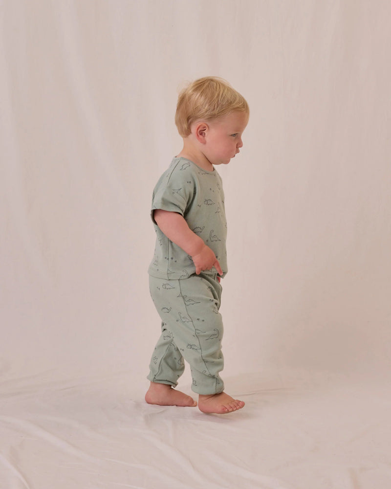 Quincy Mae Jersey Tee and Pant Set, Dino - Flying Ryno