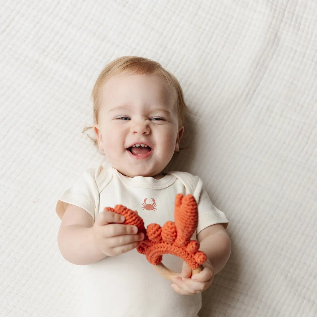 The Blueberry Hill Teether Crab Crocheted Cotton Baby Gift Spring Summer Beach - Flying Ryno