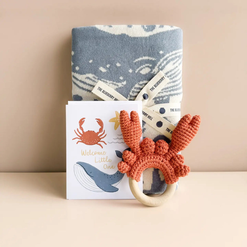 The Blueberry Hill Teether Crab Crocheted Cotton Baby Gift Spring Summer Beach - Flying Ryno