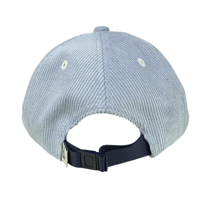 Tiny Whales Rad, White, and Blue Snapback - Flying Ryno