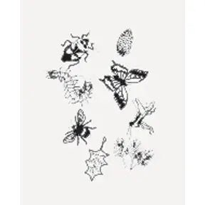 Toysmtih Outdoor Discovery Solar Print Kit - Flying Ryno