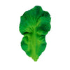 Oli & Carol Kendall the Kale - Flying Ryno