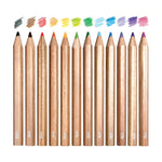 Ooly Draw 'N' Doodle Mini Colored Pencils & Sharpener- Set 12 - Flying Ryno